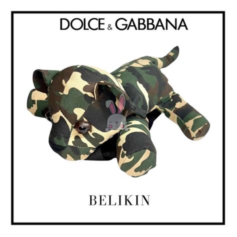 belkin dolce & gabbana